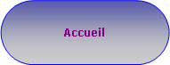 Rectangle  coins arrondis: Accueil